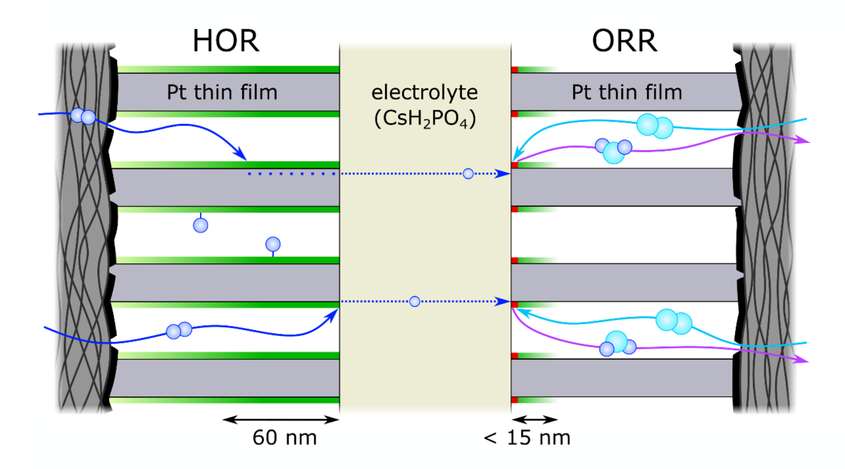 IOM Leipzig: Influence of diffusion on the reaction in fuel cells unfolded